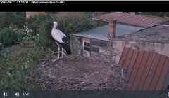 bandicam 2024-08-11 21-13-36-010.jpg