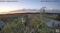 IMG_4563.jpeg