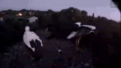 bandicam 2024-08-12 10-18-06-582.jpg