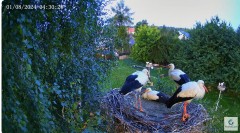 IMG_0887.jpeg