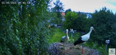IMG_1397.jpeg