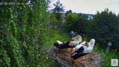 IMG_1586.jpeg