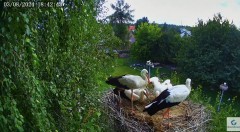 IMG_1585.jpeg