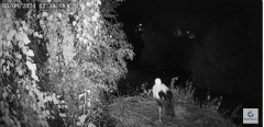 IMG_2001.jpeg