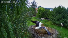 IMG_1909.jpeg