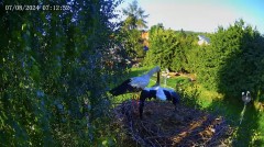 IMG_2558.jpeg