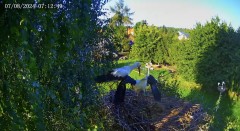 IMG_2557.jpeg