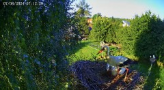 IMG_2556.jpeg