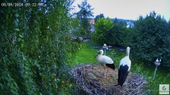 IMG_3436.jpeg