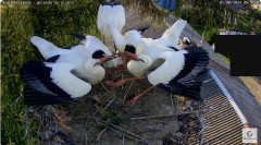 IMG_0882.jpeg