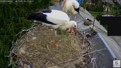 IMG_1398.jpeg