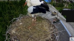 IMG_1399.jpeg