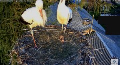 IMG_1590.jpeg