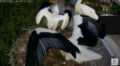 IMG_1593.jpeg