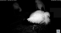 IMG_2002.jpeg