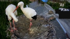 IMG_4579.jpeg