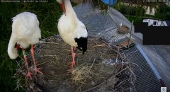 IMG_4580.jpeg