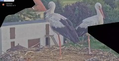 IMG_4699.jpeg
