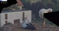 IMG_4728.jpeg