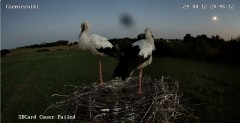 IMG_4734.jpeg