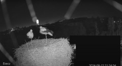IMG_4774.jpeg