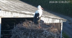 IMG_4619.jpeg
