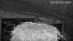 IMG_4776.jpeg