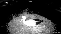 IMG_4789.jpeg