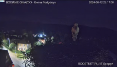 2024-08-12 22_29_04-Bocianie Gniazdo Podgórzyn - Kamera na żywo - Live 2024 - YouTube – Maxthon.png