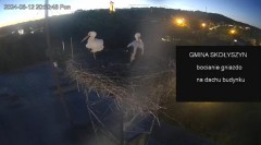 MWSnap 2024-08-12, 22_36_22.jpg
