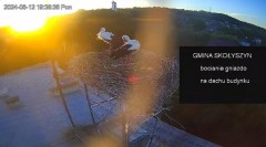MWSnap 2024-08-12, 22_36_54.jpg
