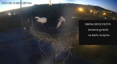 MWSnap 2024-08-12, 22_37_01.jpg