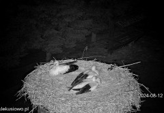 IMG_4796.jpeg