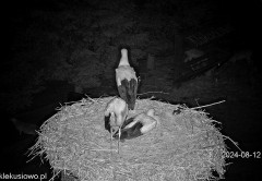 IMG_4799.jpeg