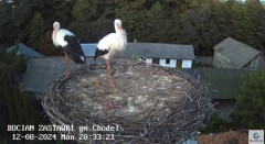 IMG_4783.jpeg