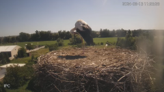 2024-08-13 21_55_35-Bociany - Raszków - YouTube – Maxthon.png