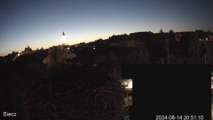 2024-08-14 21_25_56-Biecz gniazdo bocianów - YouTube – Maxthon.png