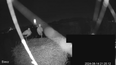 2024-08-14 21_25_31-Biecz gniazdo bocianów - YouTube – Maxthon.png
