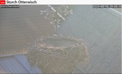 bandicam 2024-08-15 20-57-12-161.jpg
