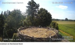 bandicam 2024-08-15 20-58-37-837.jpg