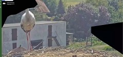 MWSnap 2024-08-15, 14_48_41.jpg