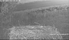 bandicam 2024-08-16 21-13-01-777.jpg