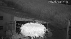 MWSnap 2024-08-16, 21_24_25.jpg