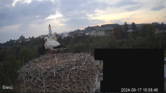 2024-08-17 20_17_35-Biecz gniazdo bocianów - YouTube – Maxthon.png