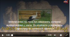 2024-08-17 20_20_20-Bociany - transmisja online – Maxthon.png