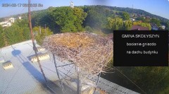 MWSnap 2024-08-17, 22_38_33.jpg