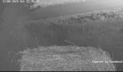 bandicam 2024-08-17 22-45-55-706.jpg