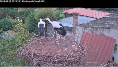 bandicam 2024-08-18 20-10-46-006.jpg