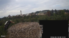 2024-08-18 20_14_53-20240818_192504.mp4 ‎- Zdjęcia.png