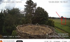 bandicam 2024-08-18 21-01-49-747.jpg